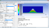 Numerical simulation